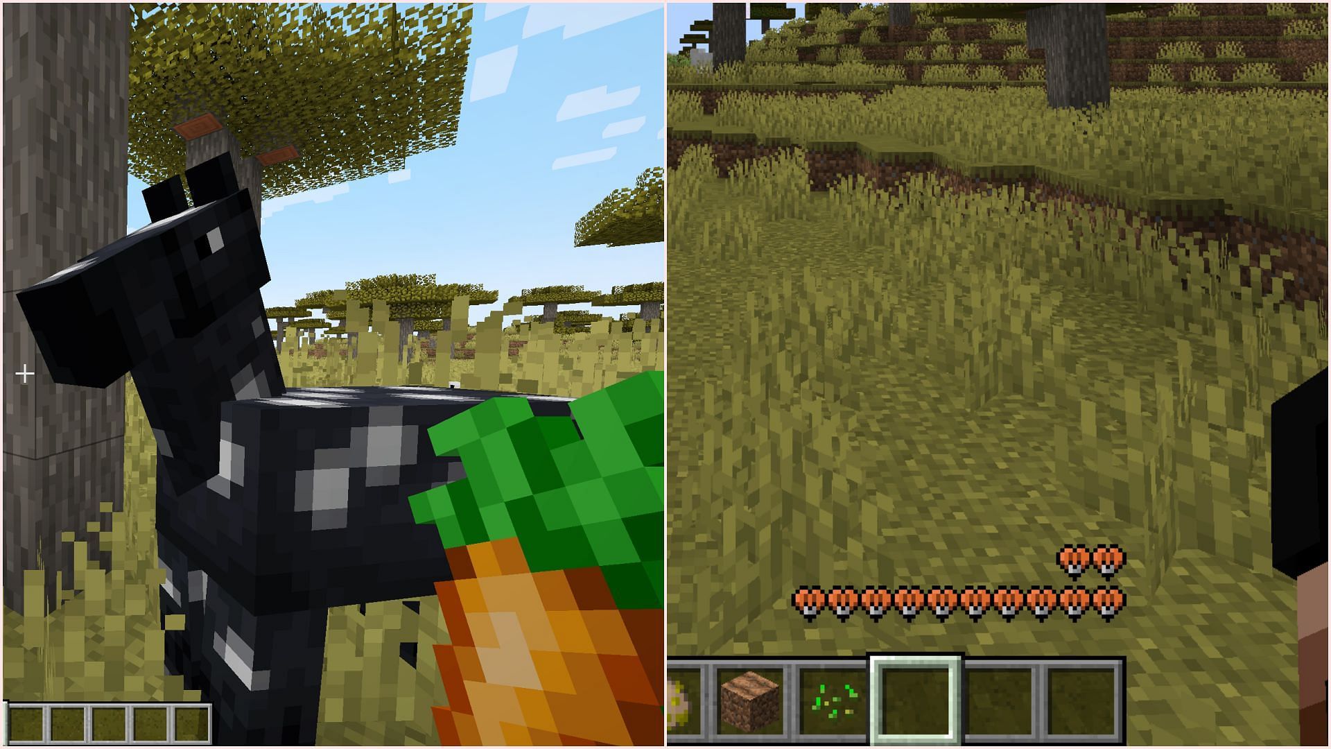 Carrots can replenish more health than wheat (Image via Sportskeeda Gaming || Mojang Studios)